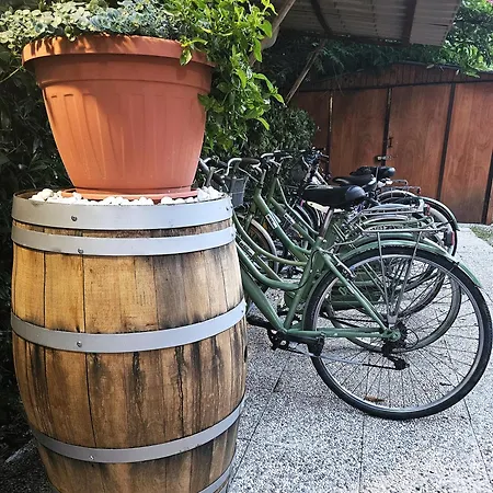 蒂拉诺酒店 酒店 锡尔维玛丽娜