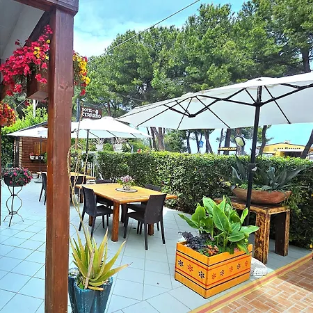 蒂拉诺酒店 酒店 3*