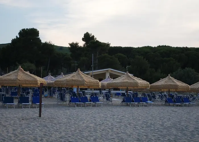 Cerrano Сильви-Марина