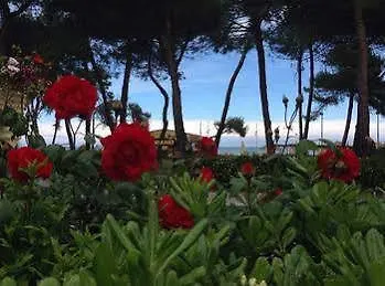 Отель Cerrano Сильви-Марина